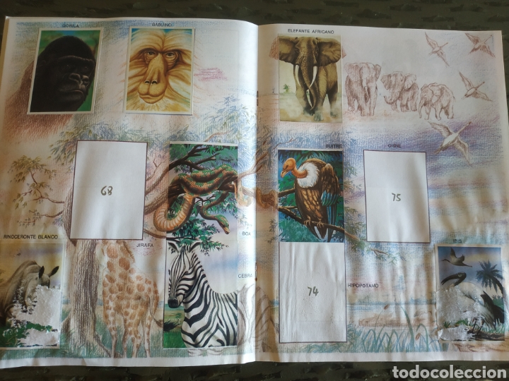 Coleccionismo &aacute;lbumes: MUNDO ECOLOGICO - Foto 9
