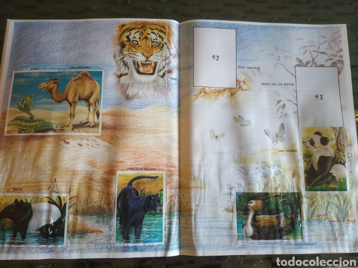 Coleccionismo &aacute;lbumes: MUNDO ECOLOGICO - Foto 11