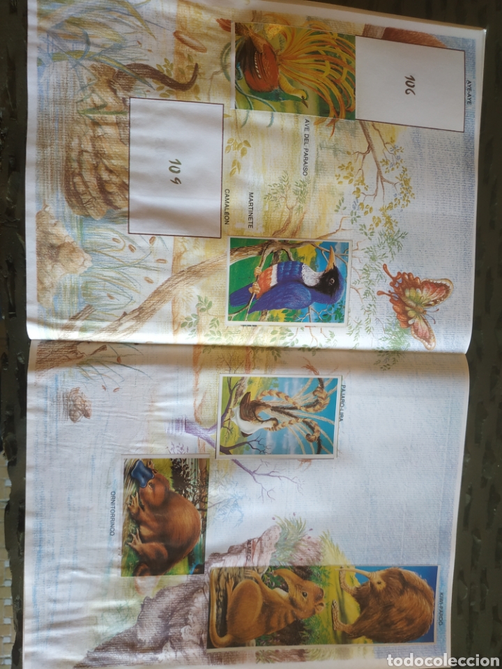 Coleccionismo &aacute;lbumes: MUNDO ECOLOGICO - Foto 13