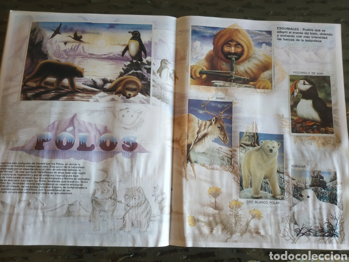 Coleccionismo &aacute;lbumes: MUNDO ECOLOGICO - Foto 14