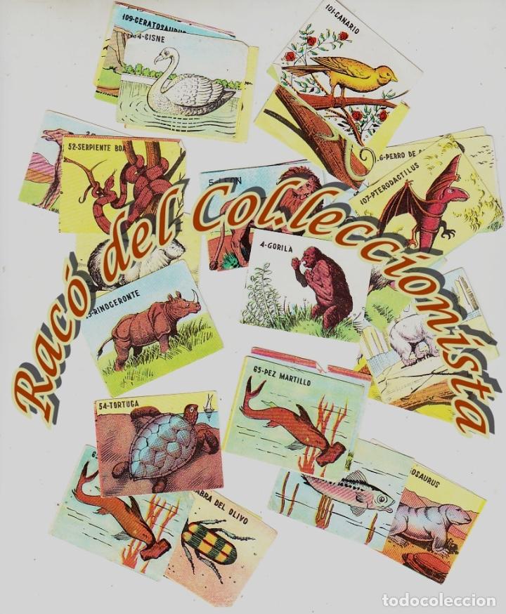 Collectionnisme Albums: FAUNA ANIMALES , LOTE DE 33 CROMOS SUELTOS SIN ALBUM, DESCONOCEMOS LA EDITORIAL, VER DESCRIPCION