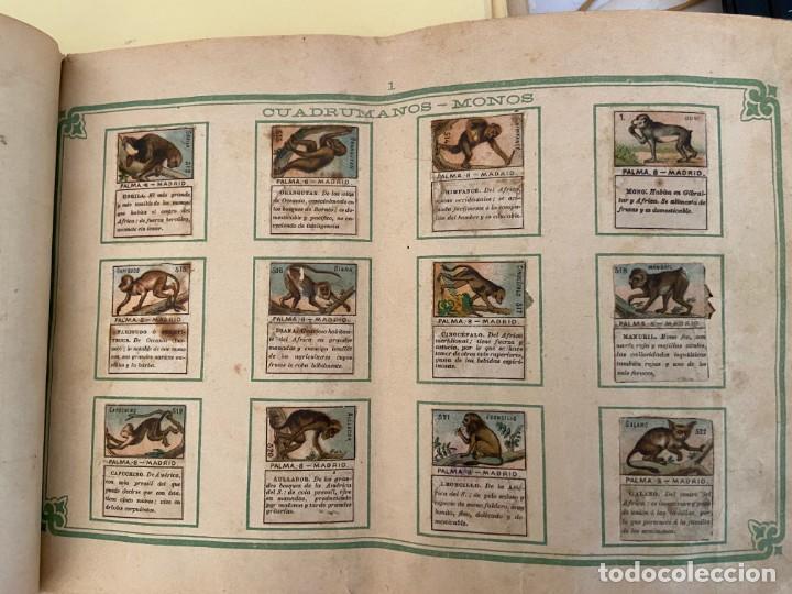Collectionnisme Albums: matias lopez comos envolturas de caramelos zologia aprox 500 se venden sueltos 90MA