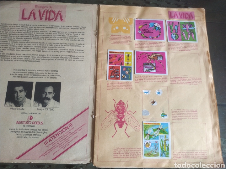 Coleccionismo &aacute;lbumes: EL ORIGEN DE LA VIDA - Foto 2