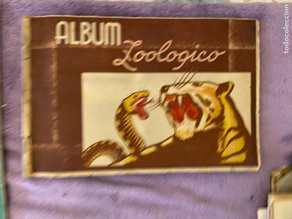 Collectionnisme Albums: ZOOLOGICO FALTAN 19 CROMOS MUY BUEN ESTADO SE PUEDE LLEGAR A VENDER SUELTOS 272MA