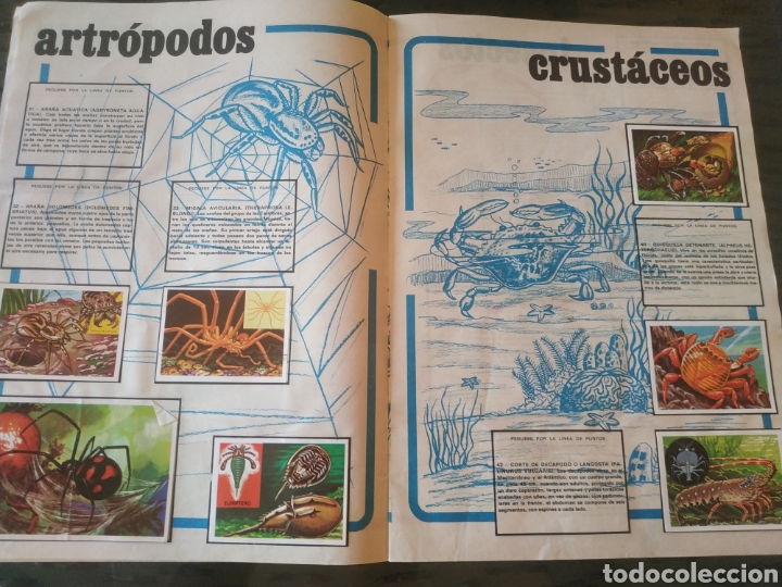 Coleccionismo &aacute;lbumes: PANORAMA ZOOLOGICO - Foto 2