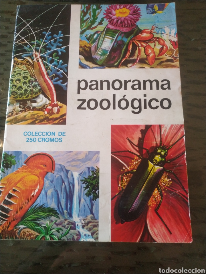Collectionnisme Albums: PANORAMA ZOOLOGICO