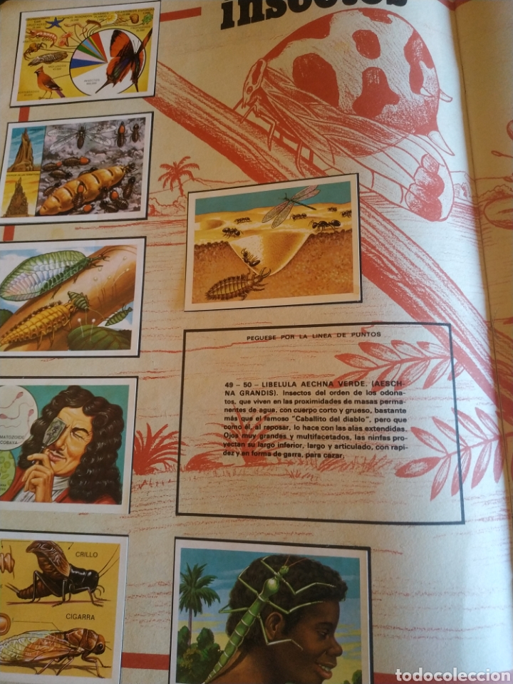 Coleccionismo &aacute;lbumes: PANORAMA ZOOLOGICO. - Foto 2