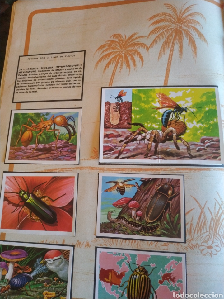 Coleccionismo &aacute;lbumes: PANORAMA ZOOLOGICO. - Foto 3