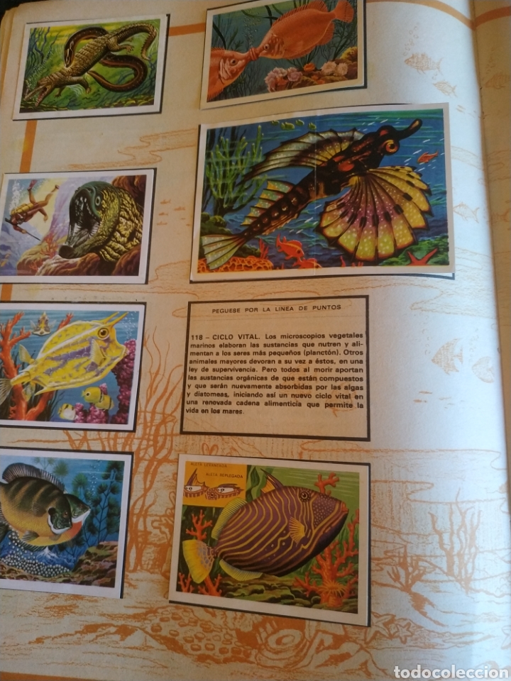 Coleccionismo &aacute;lbumes: PANORAMA ZOOLOGICO. - Foto 4