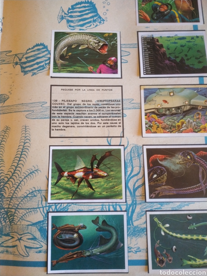 Coleccionismo &aacute;lbumes: PANORAMA ZOOLOGICO. - Foto 5