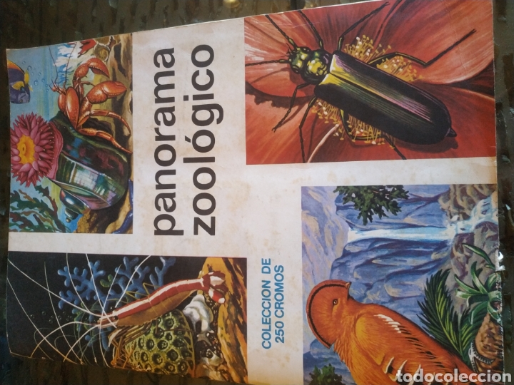 Collectionnisme Albums: PANORAMA ZOOLOGICO.