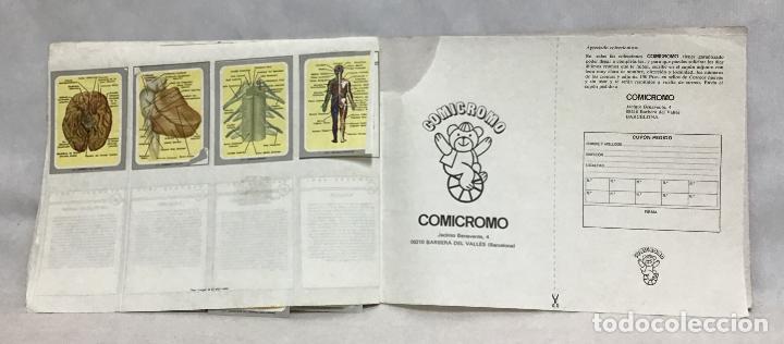 Coleccionismo &aacute;lbumes: VIDA Y COLOR - Foto 18