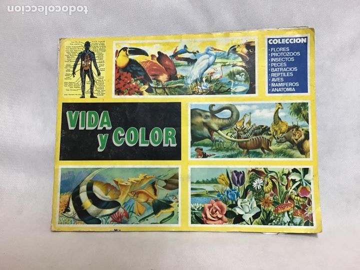 Coleccionismo &aacute;lbumes: VIDA Y COLOR - Foto 1