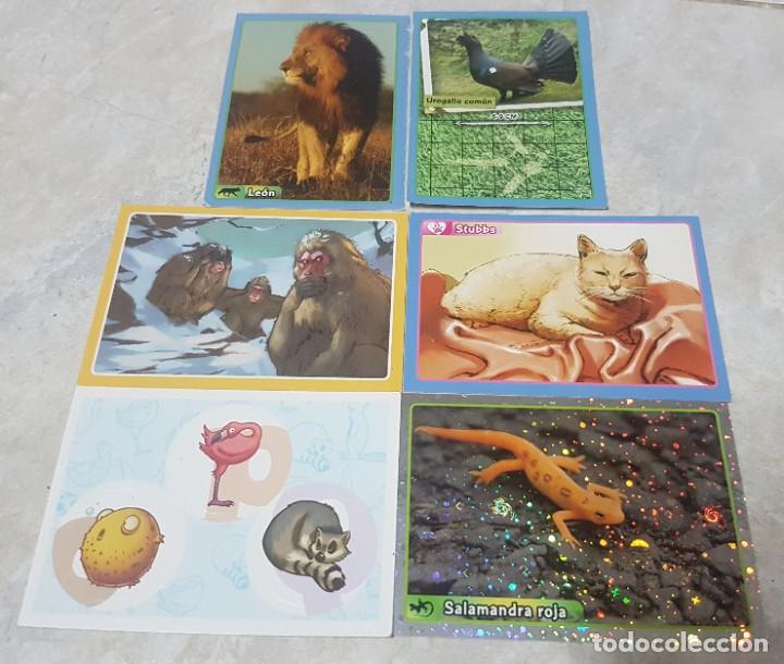 Coleccionismo &Aacute;lbumes: Lote de 6 estampas cromos El gran album del mundo animal - Panini 2013