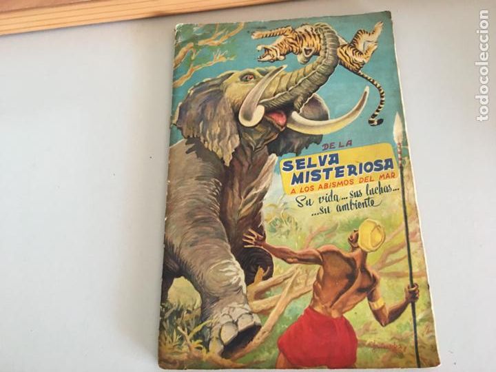 Collezionismo Album: DE LA SELVA MISTERIOSA A LOS ABISMOS DEL MAR ALBUM FHER CON 257 DE 302 CROMOS (COIB100)