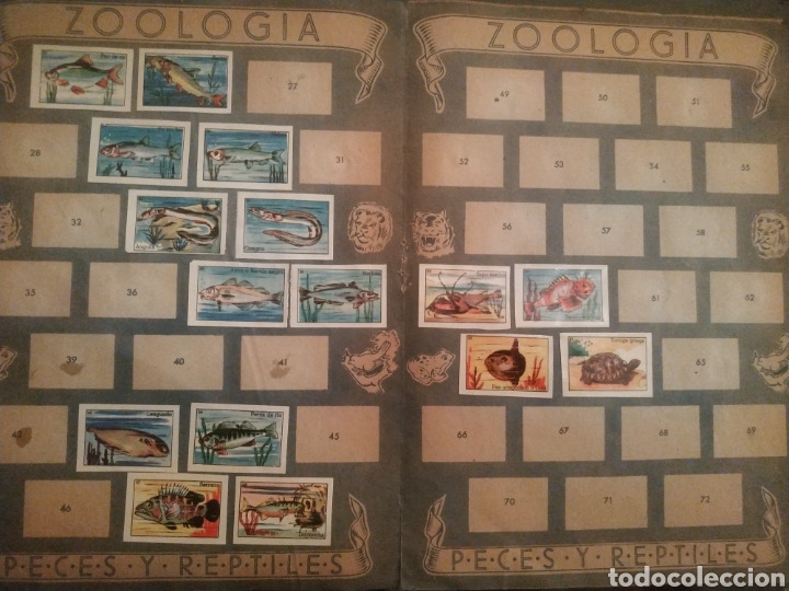 Coleccionismo &aacute;lbumes: ZOOLOGIA. PECES Y REPTILES - Foto 3
