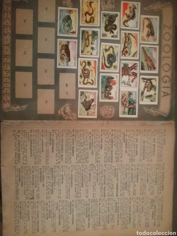 Coleccionismo &aacute;lbumes: ZOOLOGIA. PECES Y REPTILES - Foto 4