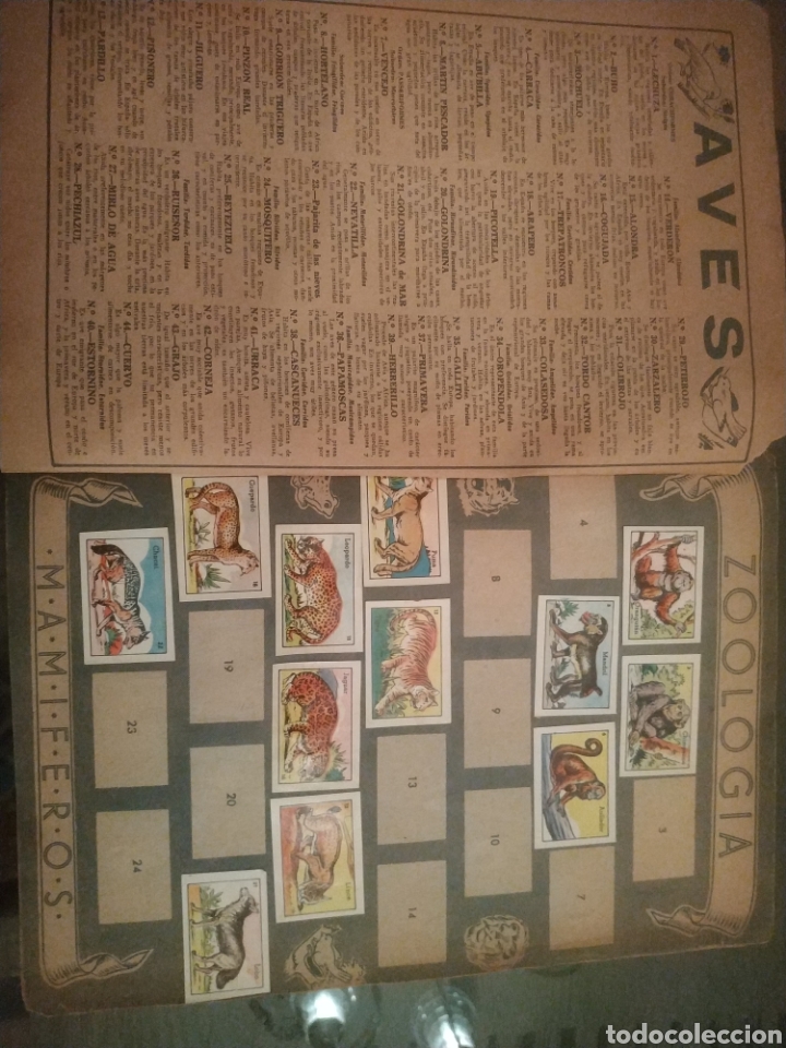 Coleccionismo &aacute;lbumes: ZOOLOGIA AVES - Foto 2