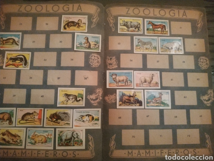 Coleccionismo &aacute;lbumes: ZOOLOGIA AVES - Foto 3