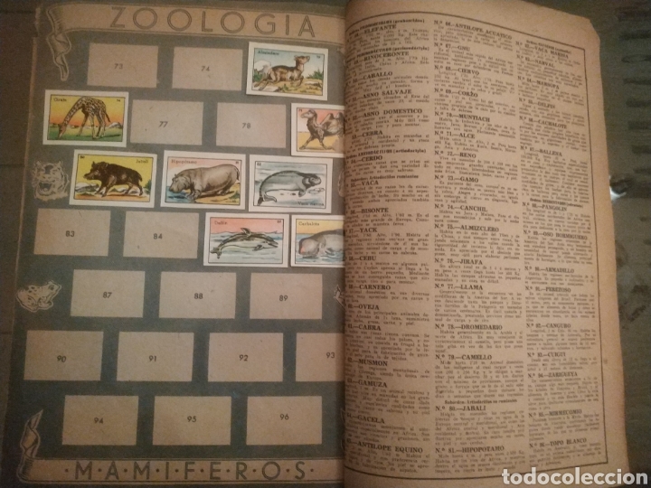 Coleccionismo &aacute;lbumes: ZOOLOGIA AVES - Foto 4