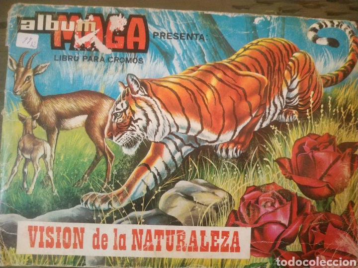 Coleccionismo &Aacute;lbumes: VISION DE LA NATURALEZA