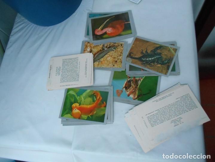 Collectionnisme Albums: cromos de natulaleza viva esdiciones este