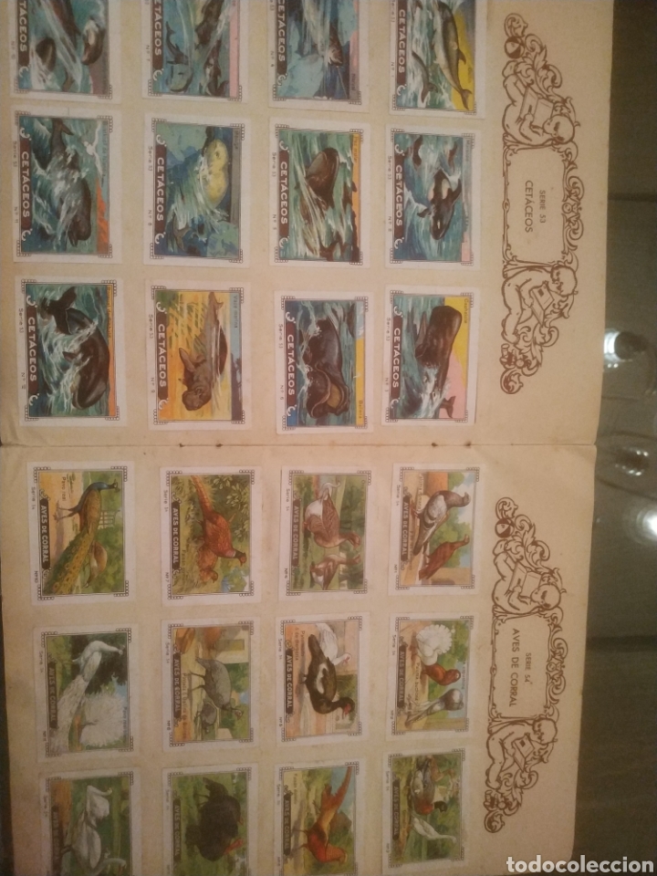 Coleccionismo &aacute;lbumes: ALBUM SILA - Foto 4