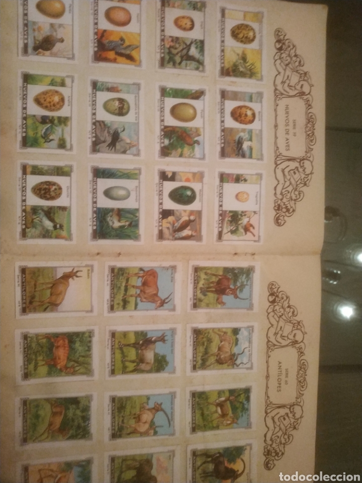 Coleccionismo &aacute;lbumes: ALBUM SILA - Foto 7