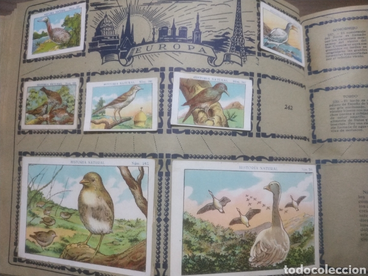 Coleccionismo &aacute;lbumes: HISTORIA NATURAL - Foto 3