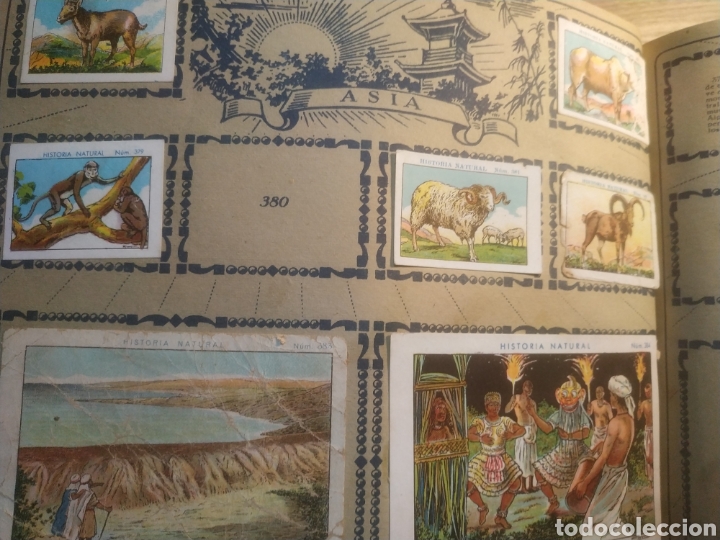 Coleccionismo &aacute;lbumes: HISTORIA NATURAL - Foto 8