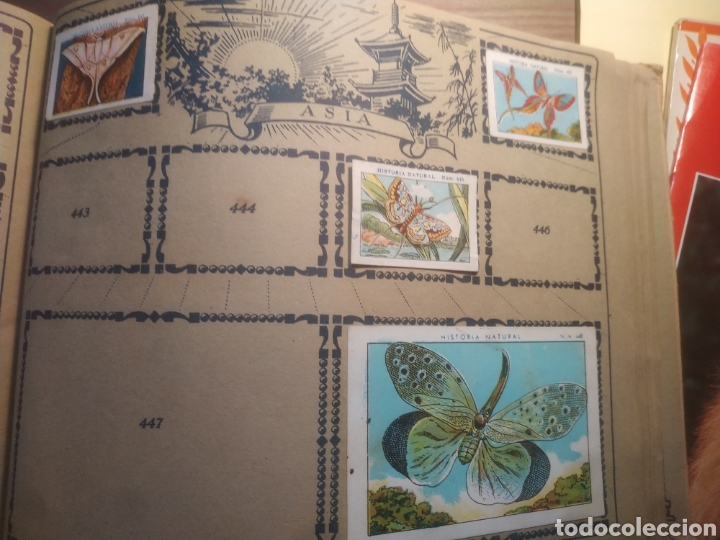 Coleccionismo &aacute;lbumes: HISTORIA NATURAL - Foto 12