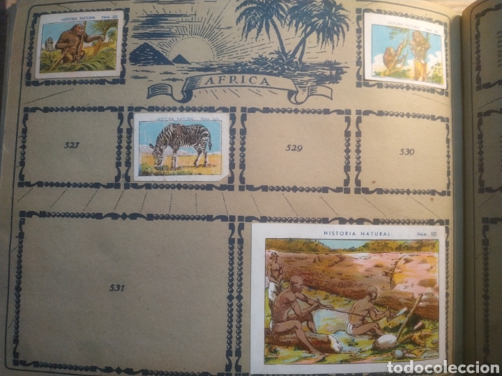 Coleccionismo &aacute;lbumes: HISTORIA NATURAL - Foto 20