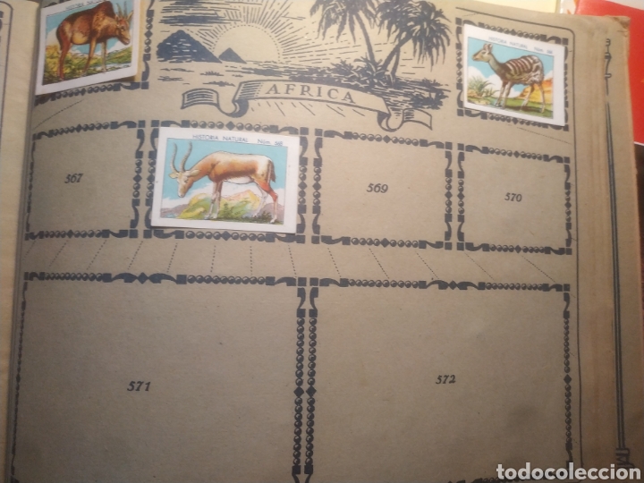 Coleccionismo &aacute;lbumes: HISTORIA NATURAL - Foto 25