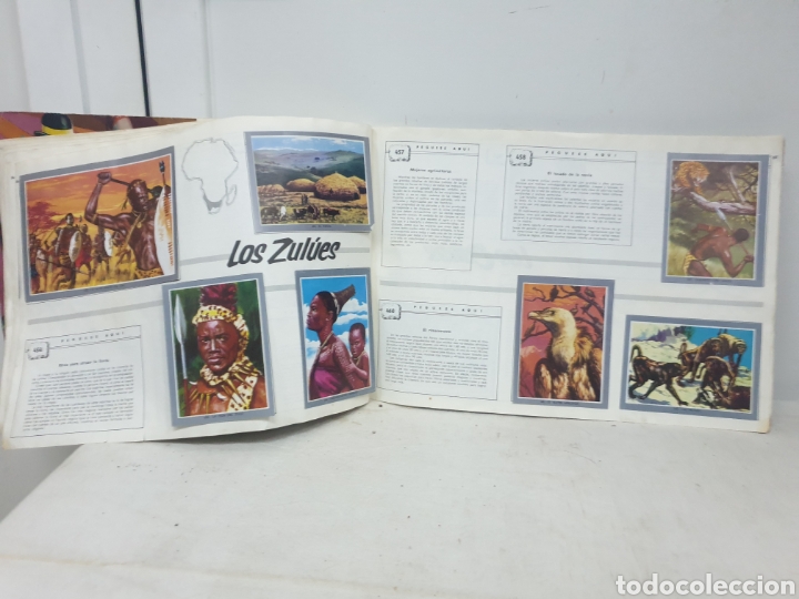 Coleccionismo &aacute;lbumes: Vida y color 2 - Foto 41