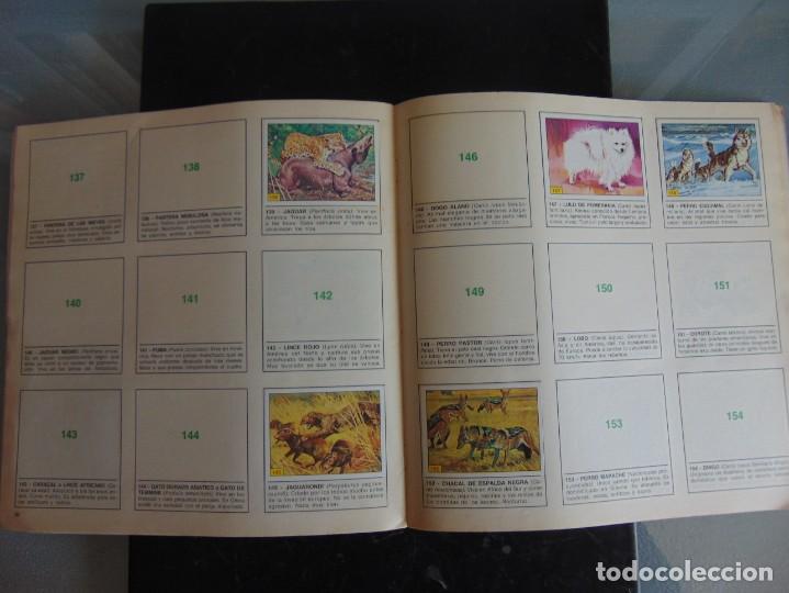 Coleccionismo &aacute;lbumes: &Aacute;LBUM MAM&Iacute;FEROS . PANINI - Foto 4