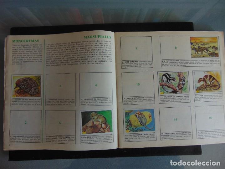 Coleccionismo &aacute;lbumes: &Aacute;LBUM MAM&Iacute;FEROS . PANINI - Foto 3