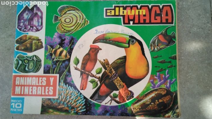 Collectionnisme Albums: Album maga , animales y minerales , contiene 84 cromos