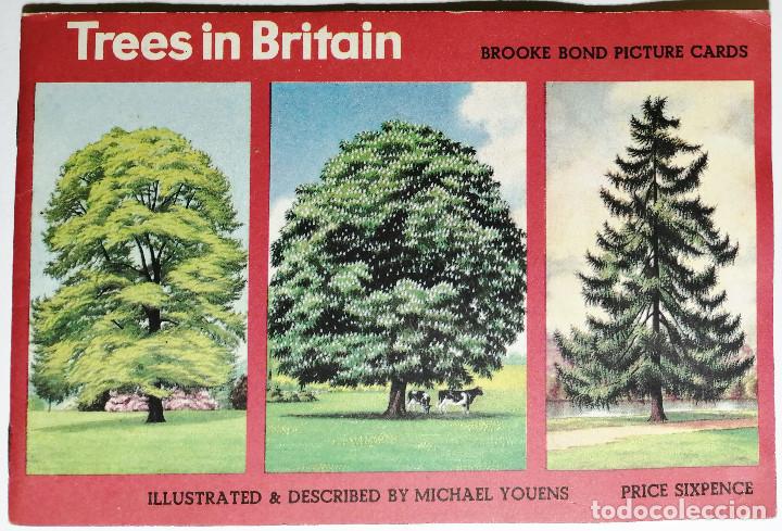 Collectionnisme Albums: BROOK BOND PICTURE CARDS. TREES IN BRITAIN. INCOMPLETO.