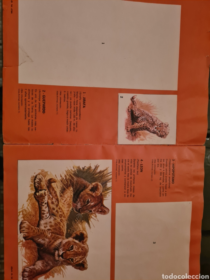 Coleccionismo &aacute;lbumes: ALBUM DE LAS CRIAS - Foto 2