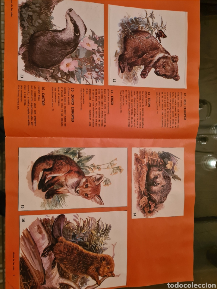 Coleccionismo &aacute;lbumes: ALBUM DE LAS CRIAS - Foto 5