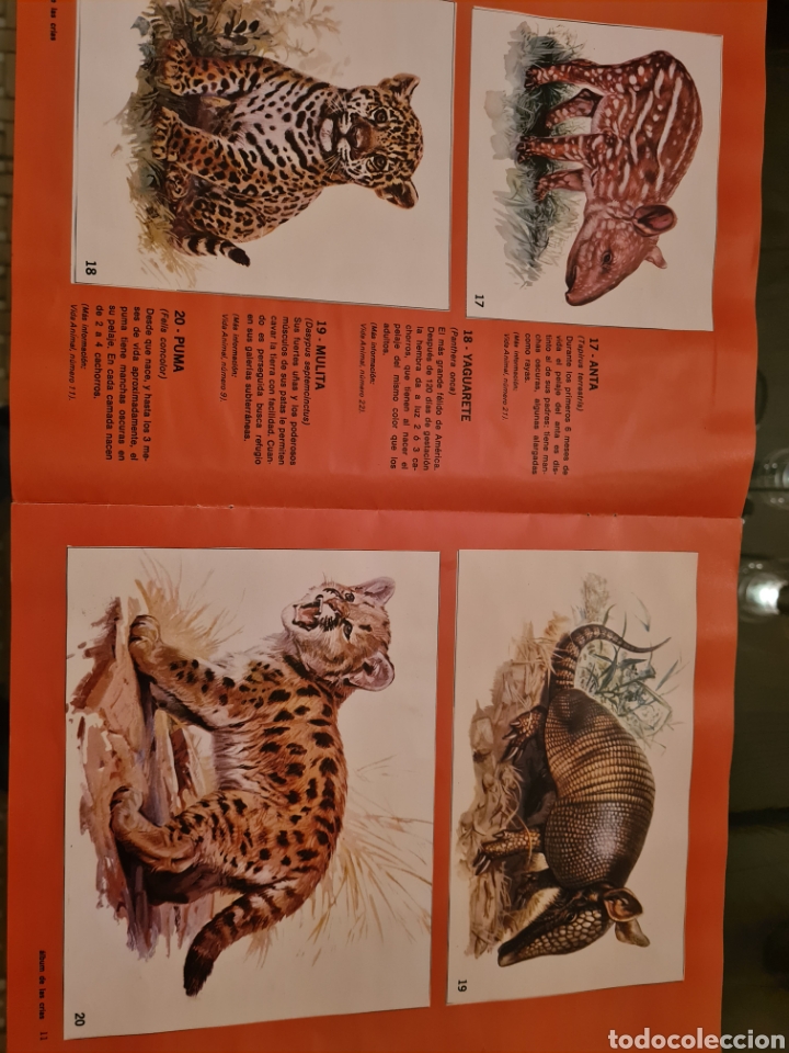 Coleccionismo &aacute;lbumes: ALBUM DE LAS CRIAS - Foto 6