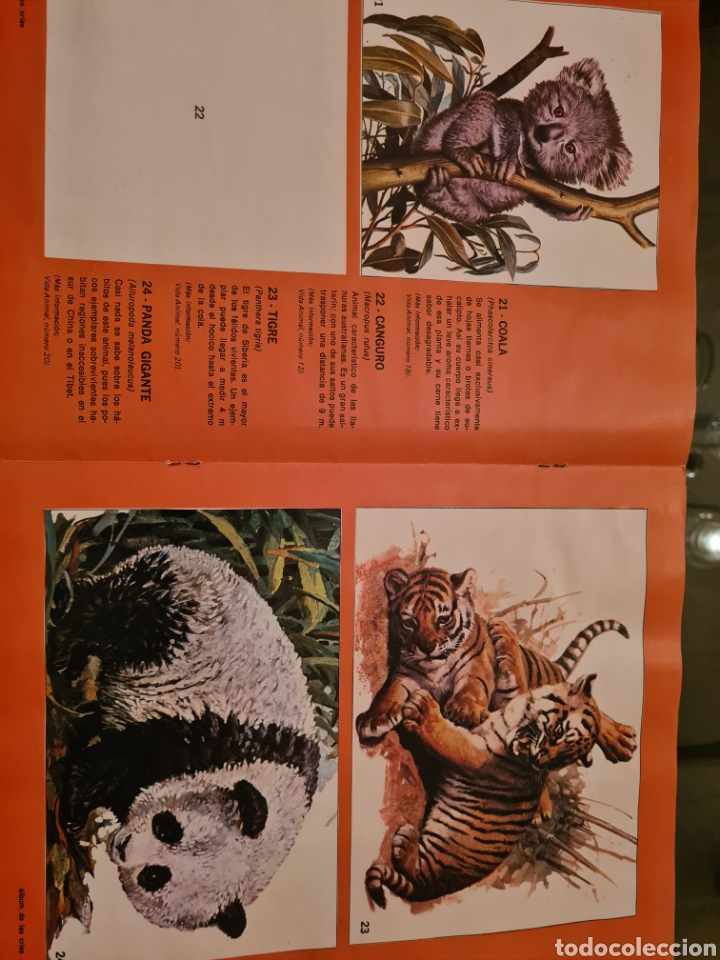 Coleccionismo &aacute;lbumes: ALBUM DE LAS CRIAS - Foto 7