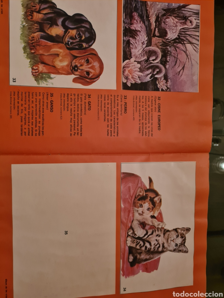 Coleccionismo &aacute;lbumes: ALBUM DE LAS CRIAS - Foto 8