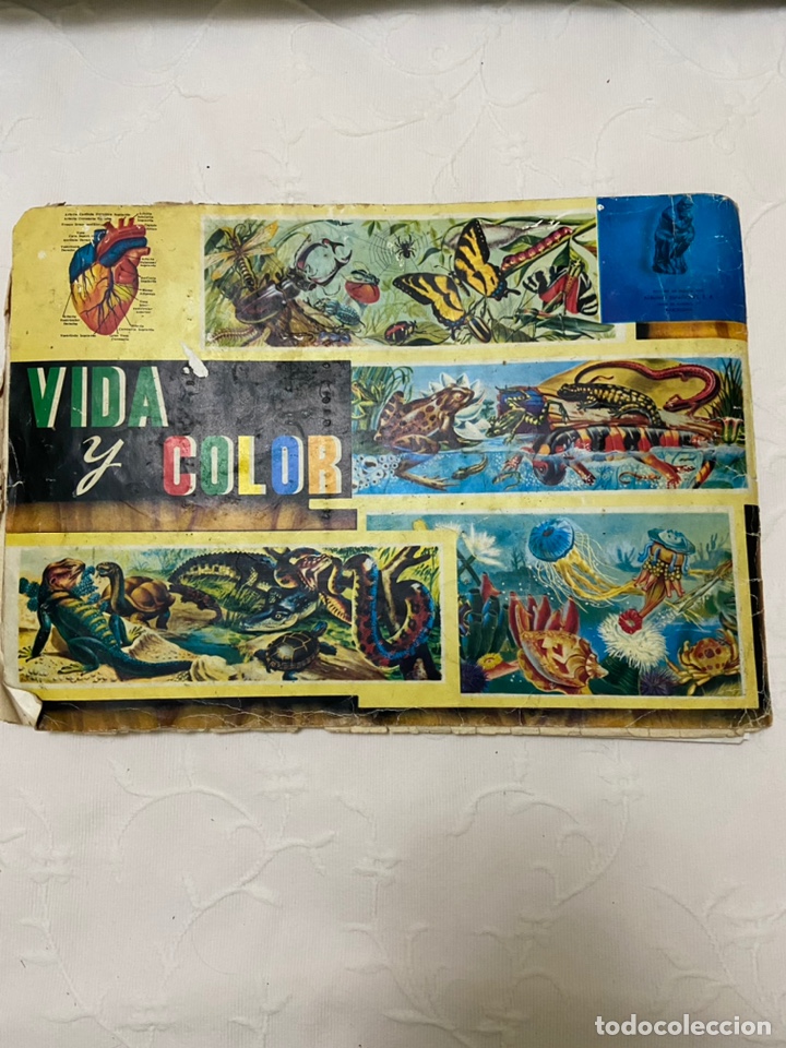 Coleccionismo &aacute;lbumes: Lote de 4 albunes de cromos - Foto 20