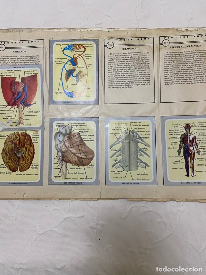 Coleccionismo &aacute;lbumes: Lote de 4 albunes de cromos - Foto 21