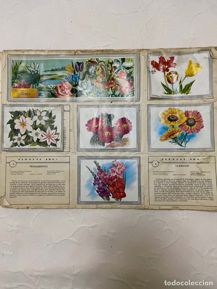 Coleccionismo &aacute;lbumes: Lote de 4 albunes de cromos - Foto 23