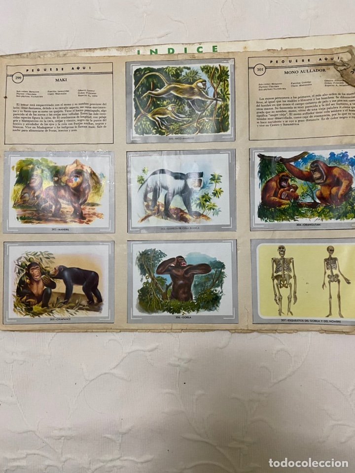 Coleccionismo &aacute;lbumes: Lote de 4 albunes de cromos - Foto 24