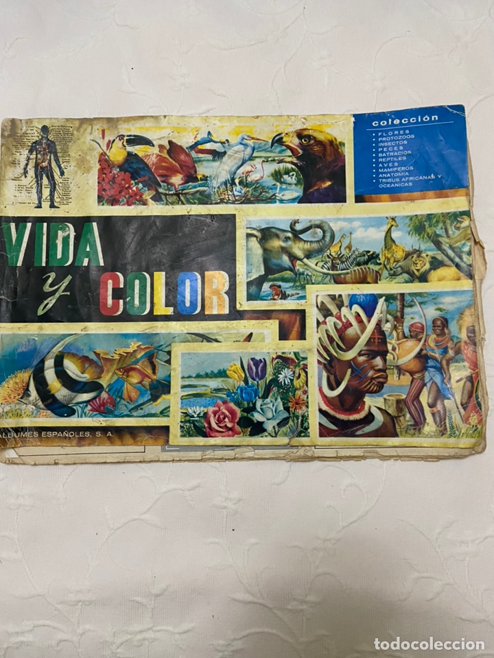 Coleccionismo &aacute;lbumes: Lote de 4 albunes de cromos - Foto 25
