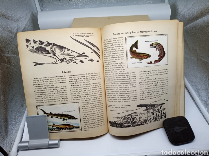 Coleccionismo &aacute;lbumes: Peces libro de oro de estampas - Foto 3