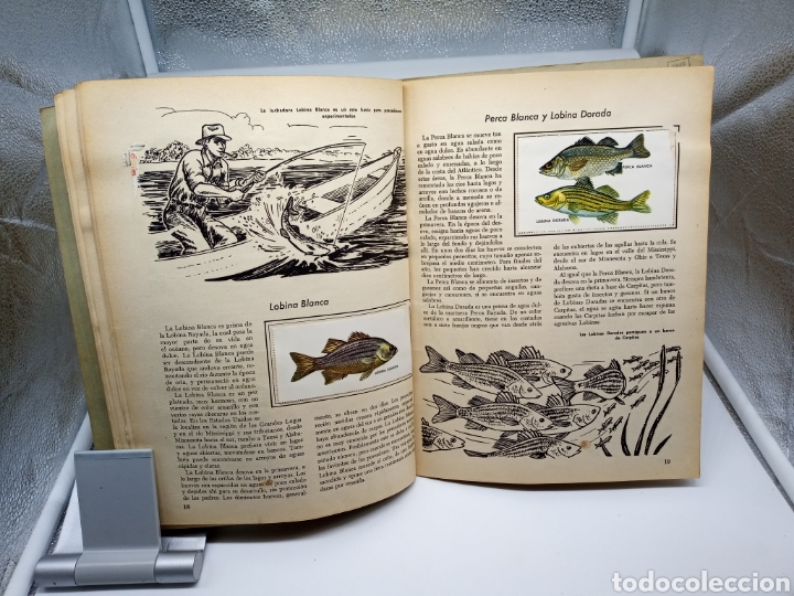 Coleccionismo &aacute;lbumes: Peces libro de oro de estampas - Foto 4